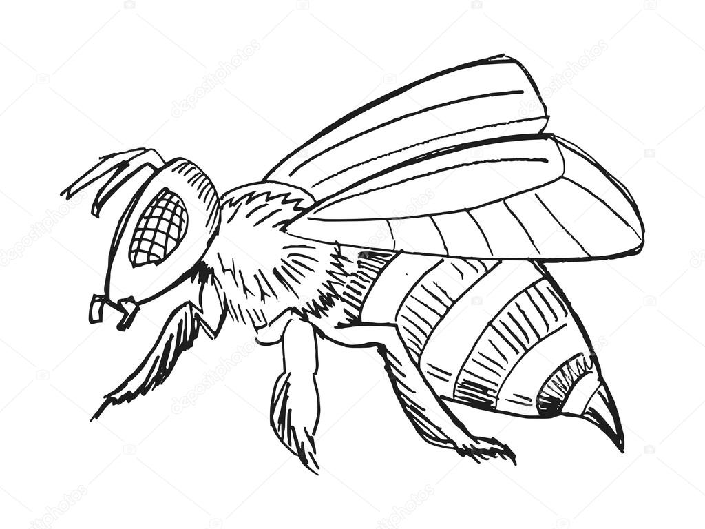 Handgezeichnet, Grunge, Skizzenillustration der Biene - Vektorgrafik