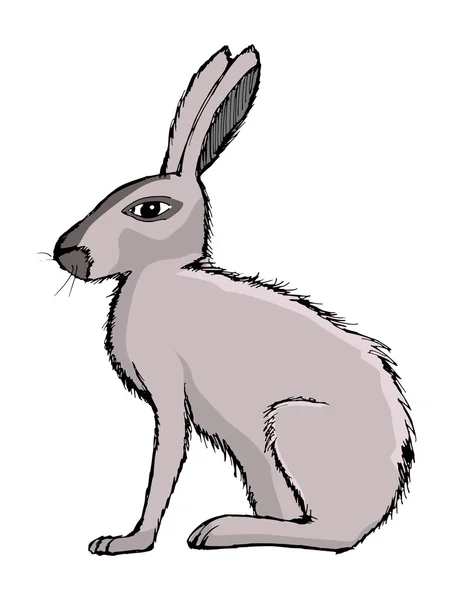 Królik, ilustracje zwierząt hodowlanych, symbolem Wielkanocy, pet — Wektor stockowy