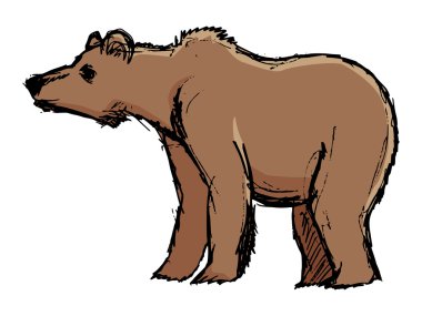 ayı, yaban hayatı, Hayvanat Bahçesi, yaban hayatı, orman, hayvan illüstrasyon