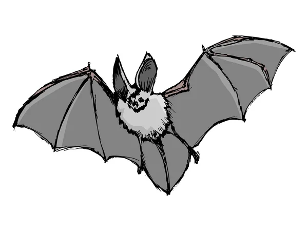 Bat, illustratie van dieren in het wild, dierentuin, symbool van Halloween, horror — Stockvector