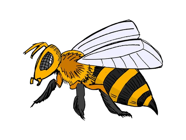 Abeja, animal ilustración de prado, insecto, miel — Vector de stock