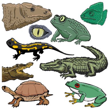 sürüngenler, timsah, kertenkele, kaplumbağa çizimleri kümesi