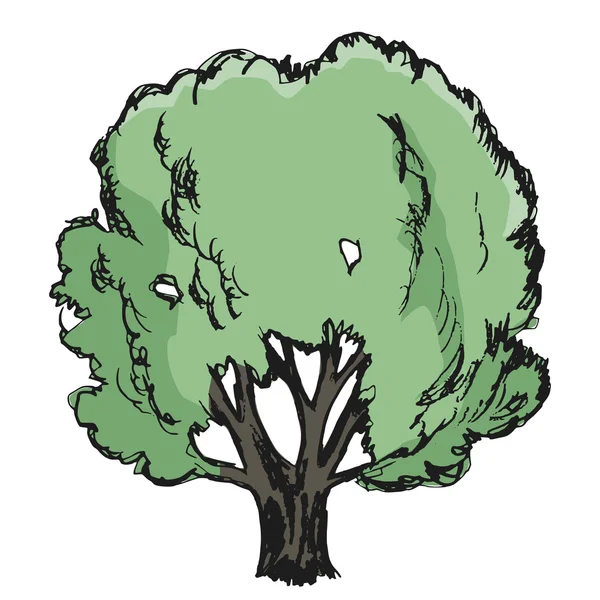 Roble, ilustración de la naturaleza, bosque — Vector de stock