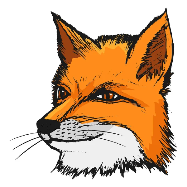 Renard, illustration de la faune, animal de la forêt, rusé, prédateur — Image vectorielle