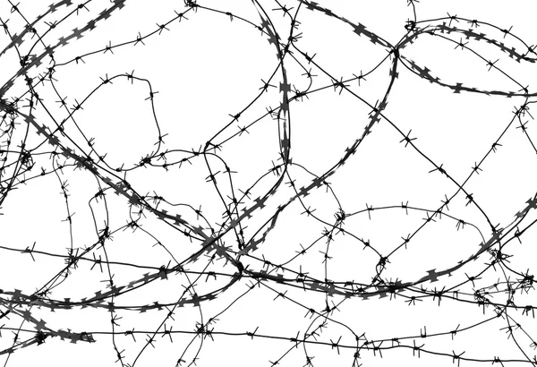 Barbed wire on white background — Stock Photo, Image