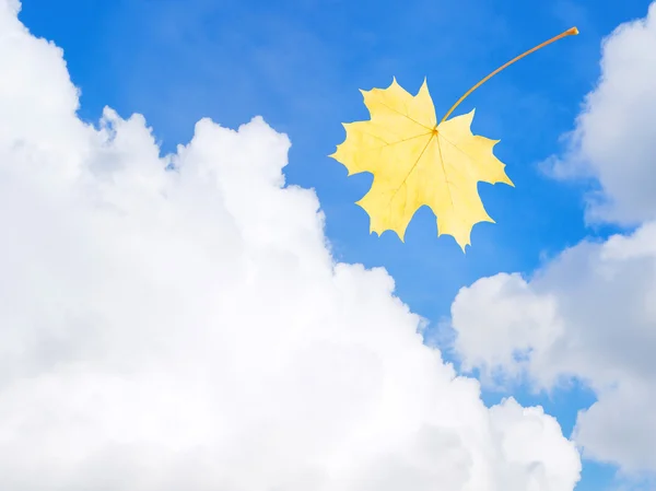 Autumn leaf flying in the sky — Stock Photo, Image