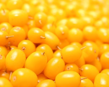 Deniz topalak meyve tatlı