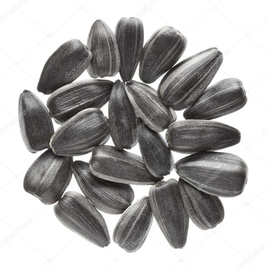 sunflower seeds on a white background