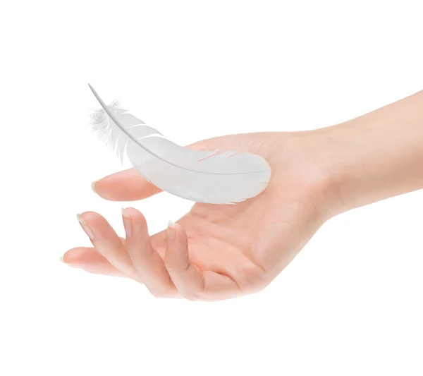 Feather in female palm on white background — Stock Photo, Image