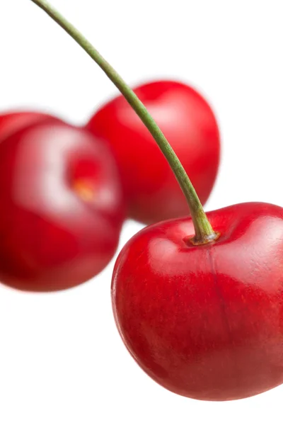 Berries cherries close-up on a white background — Stock Photo, Image