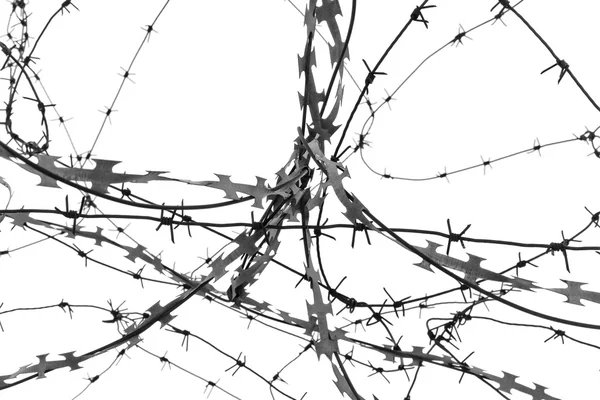 Barbed wire on white background — Stock Photo, Image