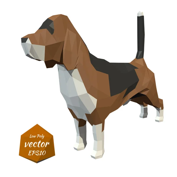 Hund. Low-Poly-Stil. Vektorillustration. — Stockvektor