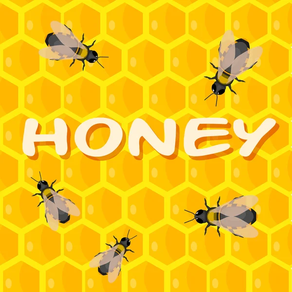 Abejas en panal con miel. Estilo de dibujos animados. Ilustración vectorial — Vector de stock