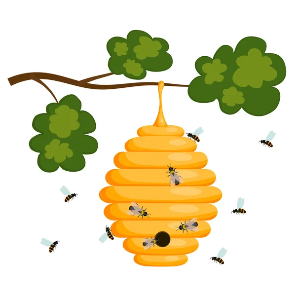 白地に黄色い蜂ハイブ。ミツバチの巣箱を分離します。株式 V — ストックベクタ