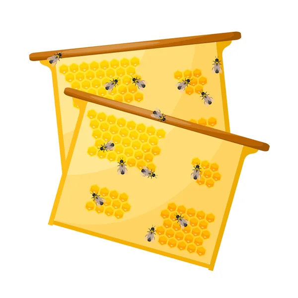 Arbetstagaren bina på honung kam på en vit bakgrund. Objekt bigården. — Stock vektor
