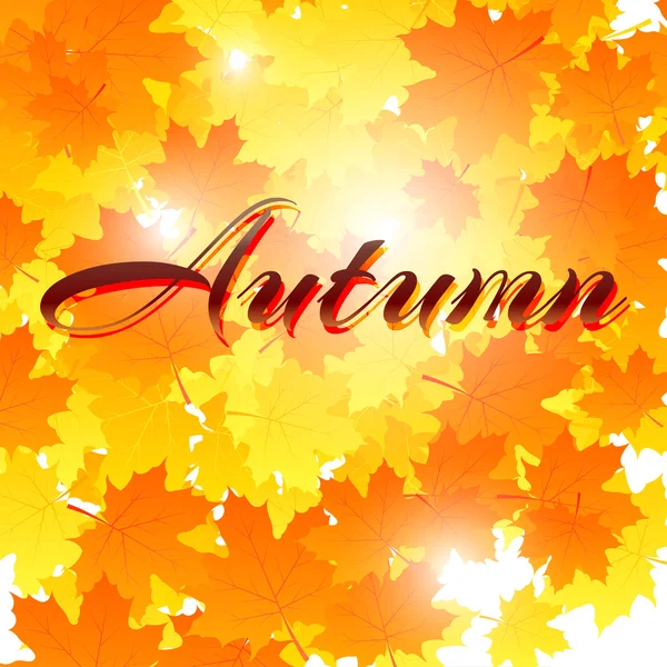 Autumn background with leaves. Back to school. Stock Vector illu — Stock Vector