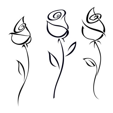 Rose blossoms isolated on white background illustration.