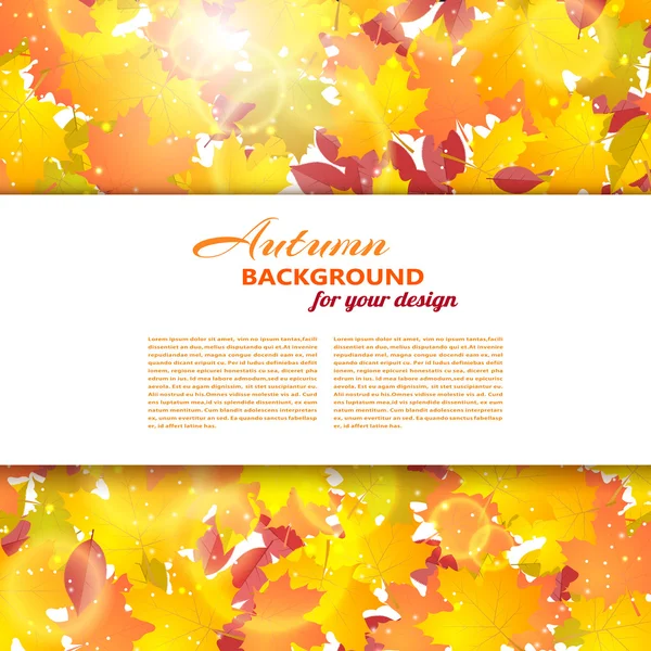 Autumn background with maple and other leaves. White text box. V — Stock Photo, Image