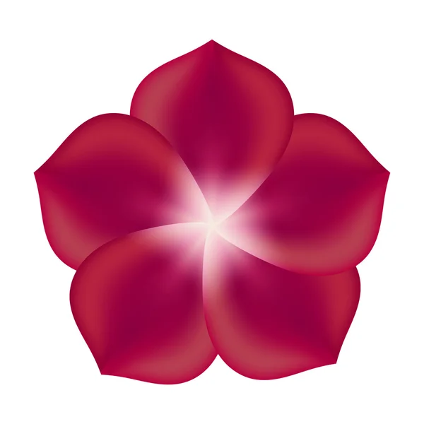 Red Flower, Isolated On White Background Illustration — Φωτογραφία Αρχείου