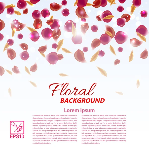 Textura romântica com pétalas de flor e folhas em um backgr leve — Fotografia de Stock