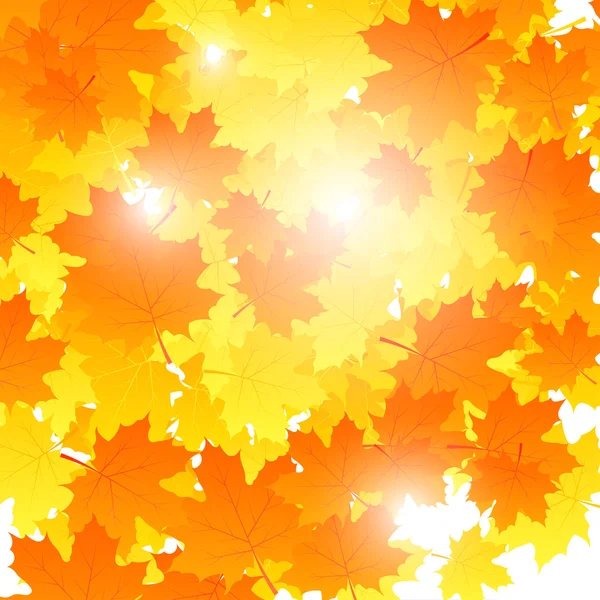 Background on autumn theme, maple leaves falling illustr — Stockfoto
