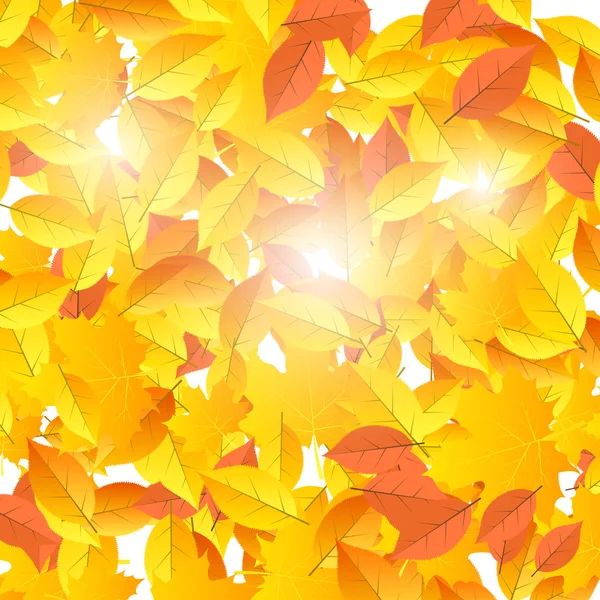 Background on autumn theme of falling yellow and orange leaves. — Stock Photo, Image