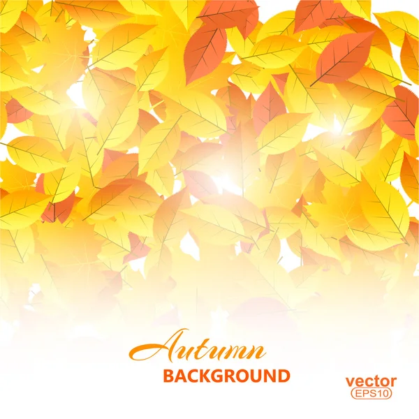 Autumn background with leaves illustration. — Zdjęcie stockowe