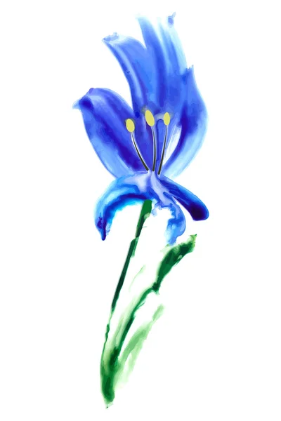 Aquarel iris geïsoleerd op een witte achtergrond. Artistieke. Vector — Stockvector