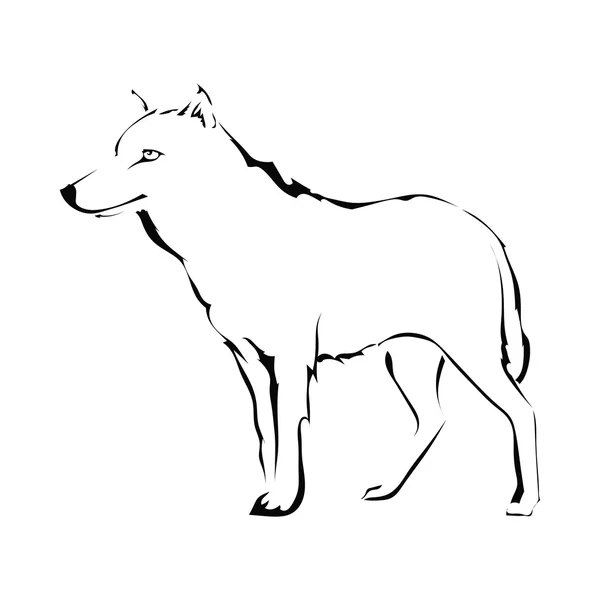 Wolf silhouet geïsoleerd op een witte achtergrond. Logo. Vector illus — Stockvector