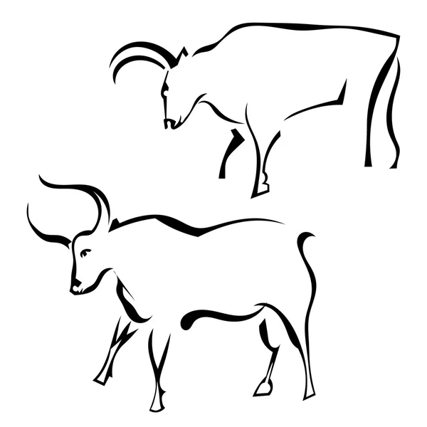 Twee stieren in profiel in een weiland. Vectorillustratie. — Stockvector