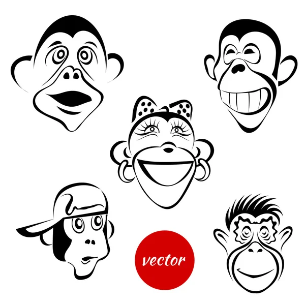 Satu set sketsa monyet dalam gambar yang berbeda terisolasi di b putih - Stok Vektor