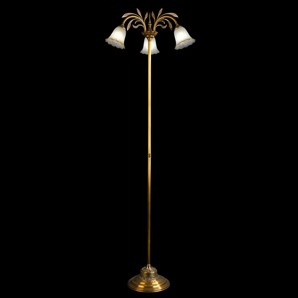 Vintage stand floor lamp isolated on black — Stock Photo, Image