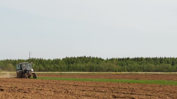 Trekker rijden in het veld — Stockvideo