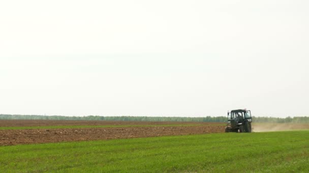 Tractor en el campo — Vídeos de Stock