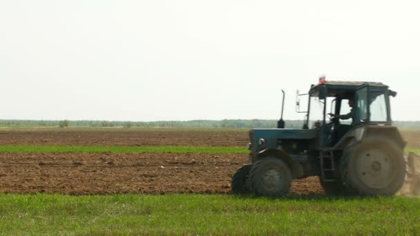 Tractor en el campo — Vídeos de Stock