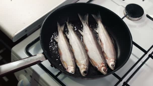 Chef pone en una cocción de un montón de pescado entero . — Vídeos de Stock