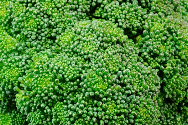 Macro photo of green broccoli flowers — Stock Photo, Image