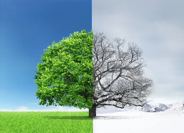 Concept of doubleness. Summer and winter of different sides with — Stock Photo, Image