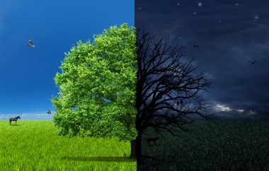 Samimiyetsizlik kavramı. Gece gündüz ile farklı tarafı 