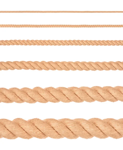 Coleção de várias cordas no fundo branco. cada um é sho — Fotografia de Stock