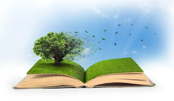 Concept of changes. Open book full of grass with a tree that tur — Stock Photo, Image