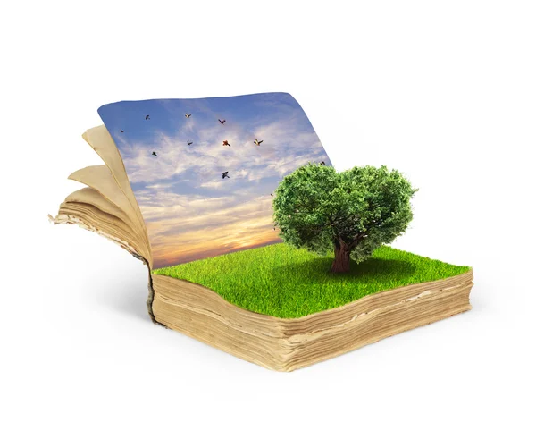 Conceito de livro mágico coberto de grama com árvore na forma de o — Fotografia de Stock
