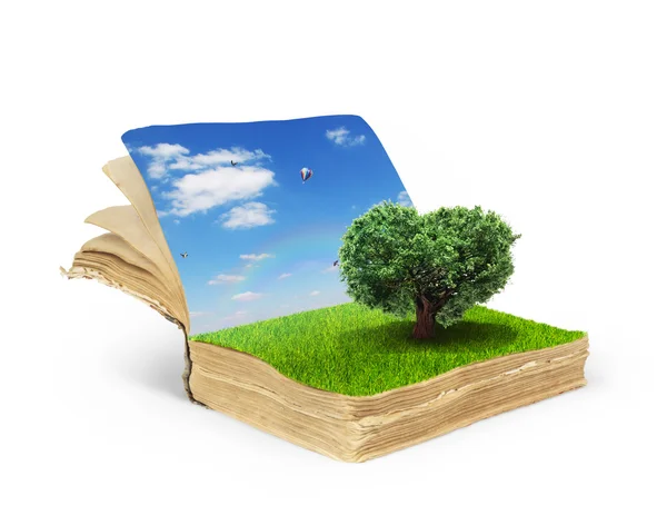 Concetto di libro magico coperto di erba con albero nella forma o — Foto Stock