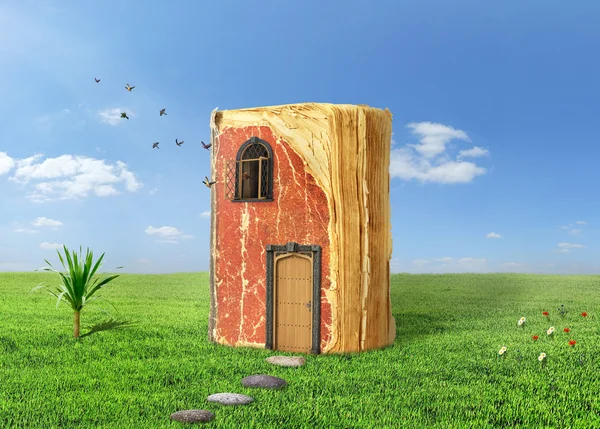 Concetto di lettura. Libro magico con porta e finestra splendente. Boo! — Foto Stock