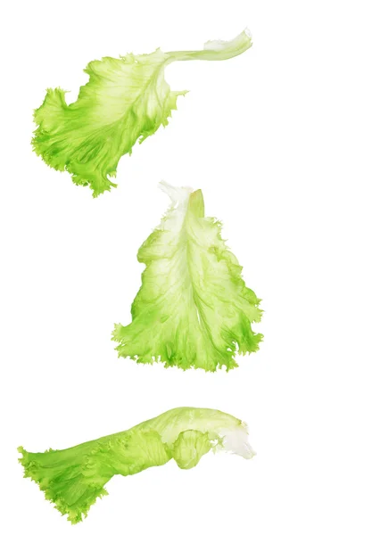 Zöld saláta levél elszigetelt készlet — Stock Fotó