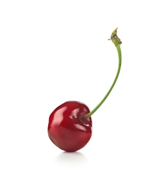 Cherry manis diisolasi pada latar belakang putih — Stok Foto