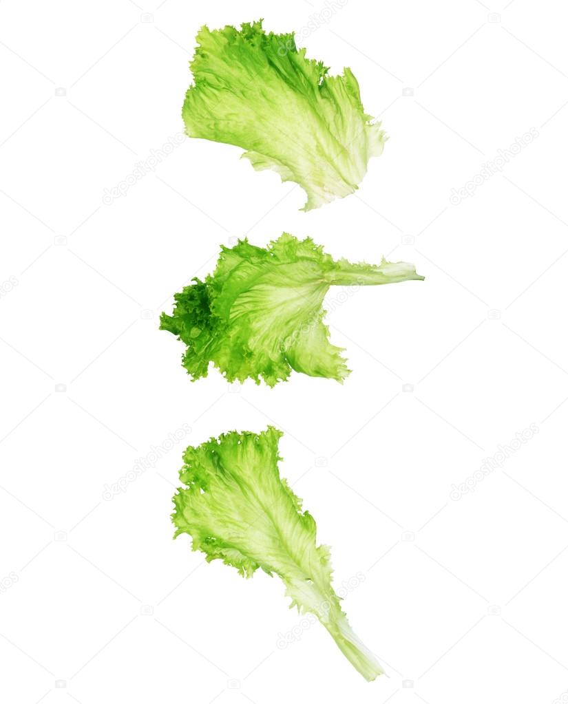 Set feuille de salade verte isolé — Photo de stock par ©urfingus - 112839846, image size:825x1023