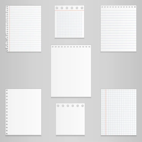 Set of different notebook paper, vector — Stock Vector