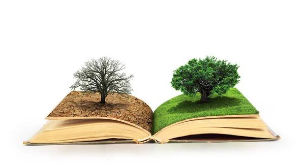 Concept of changes. Open book. One side full of grass with a lif — Stock Photo, Image