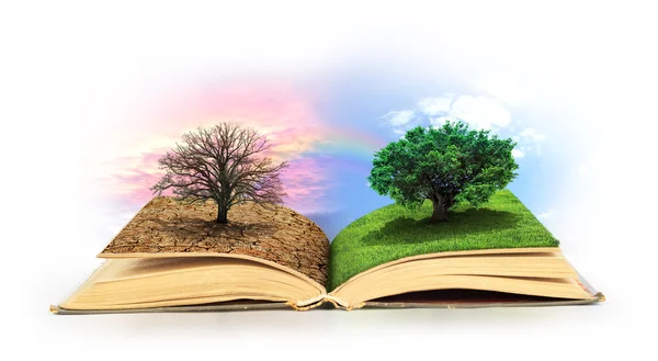 Concept of changes. Open book. One side full of grass with a lif — Stock Photo, Image